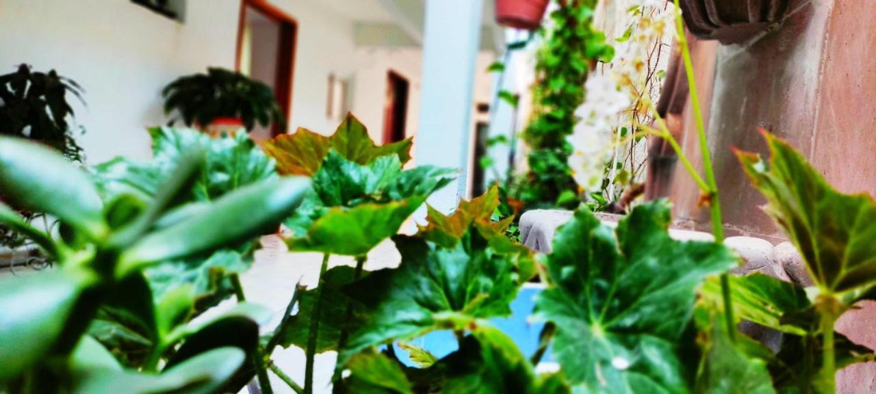 Hotel Posada Laura San Juan del Río Dış mekan fotoğraf