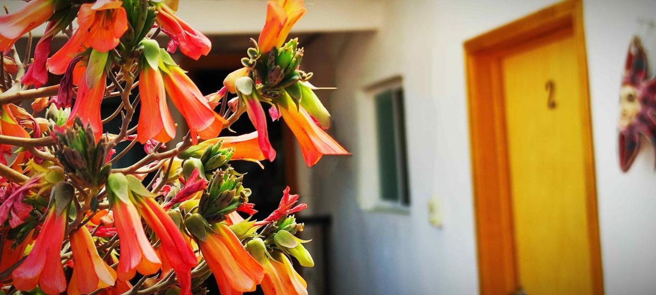 Hotel Posada Laura San Juan del Río Dış mekan fotoğraf